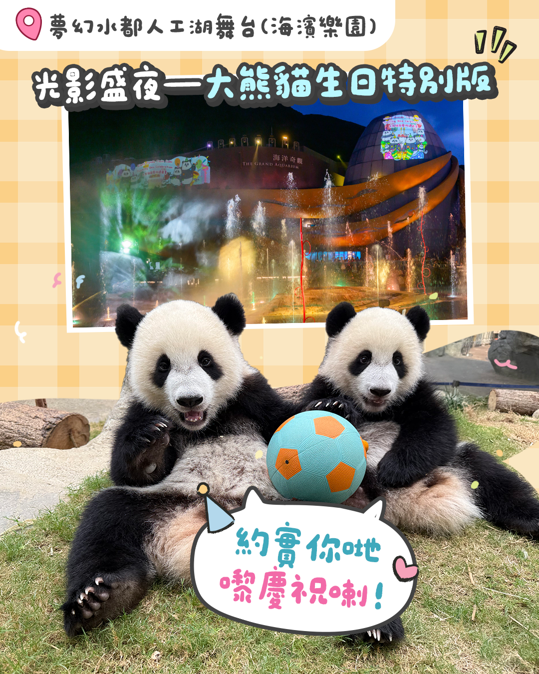 「光影盛夜」— 大熊貓生日特別版