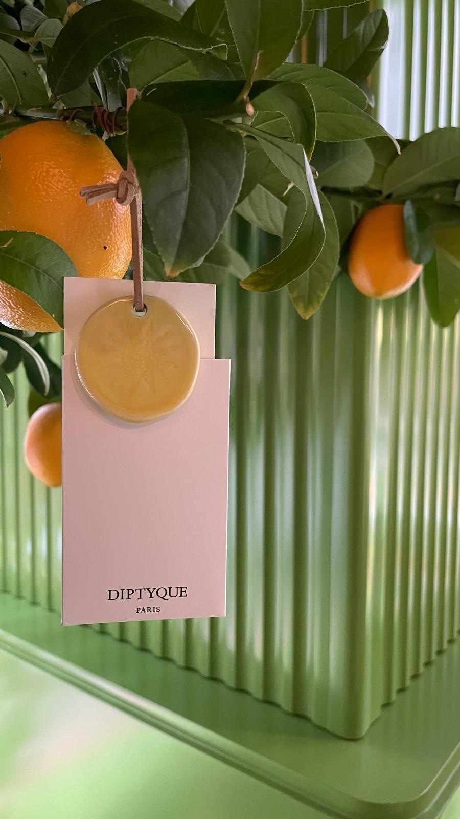 夏日許願樹幸運抽獎