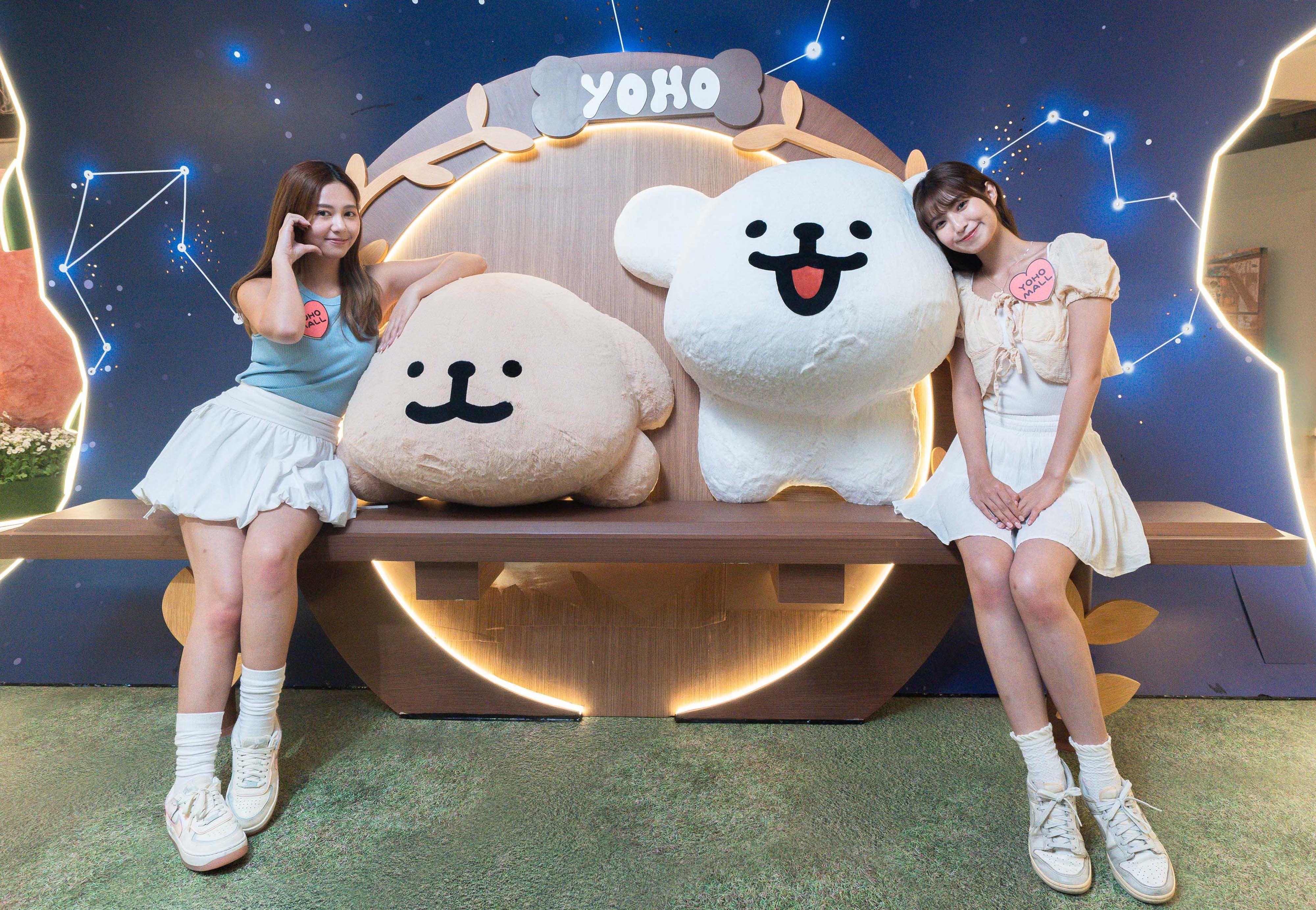 汪星人星空洞穴