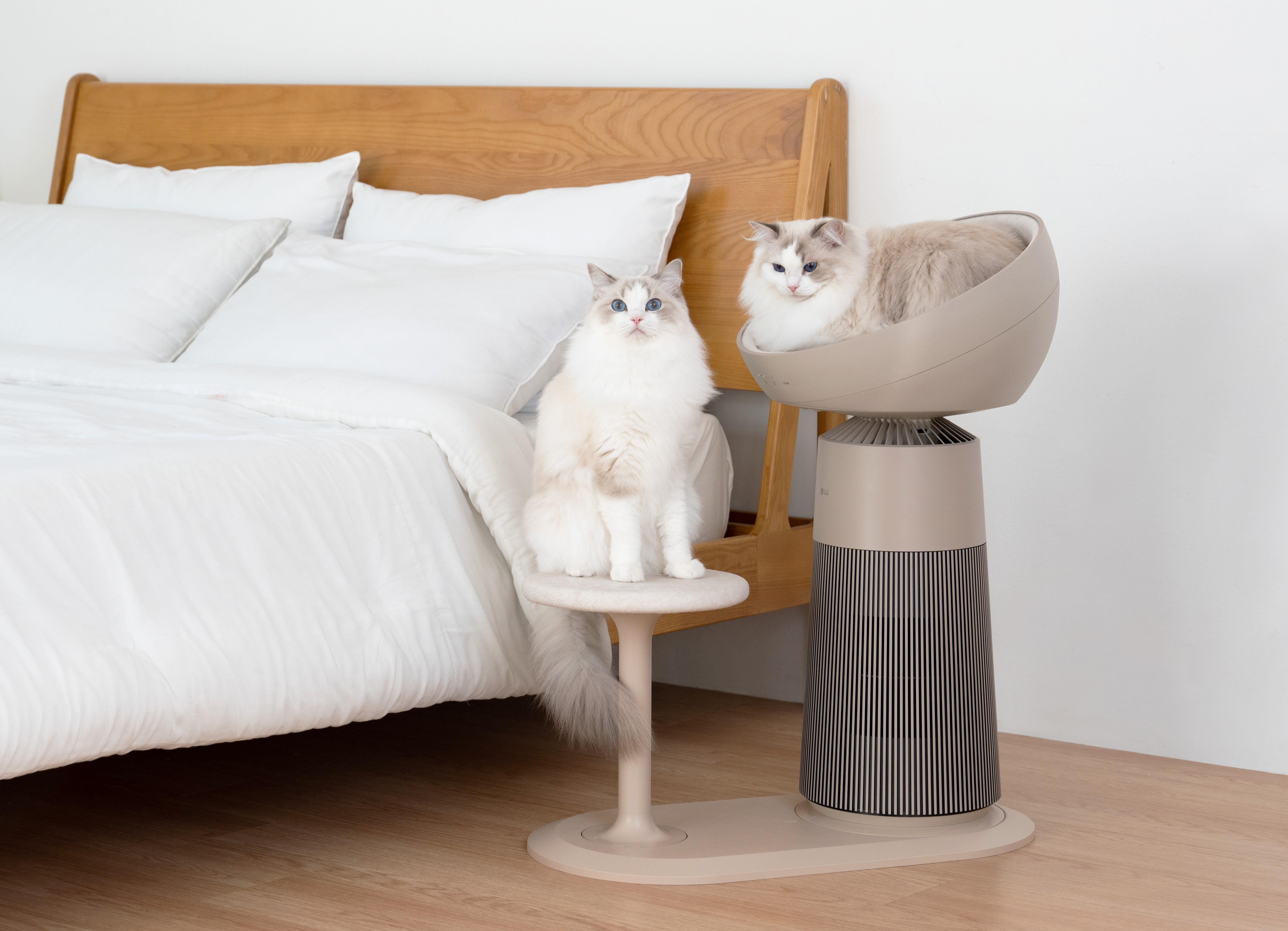 貓咪專屬家電LG PuriCare AeroCatTower在日韓相當人氣。