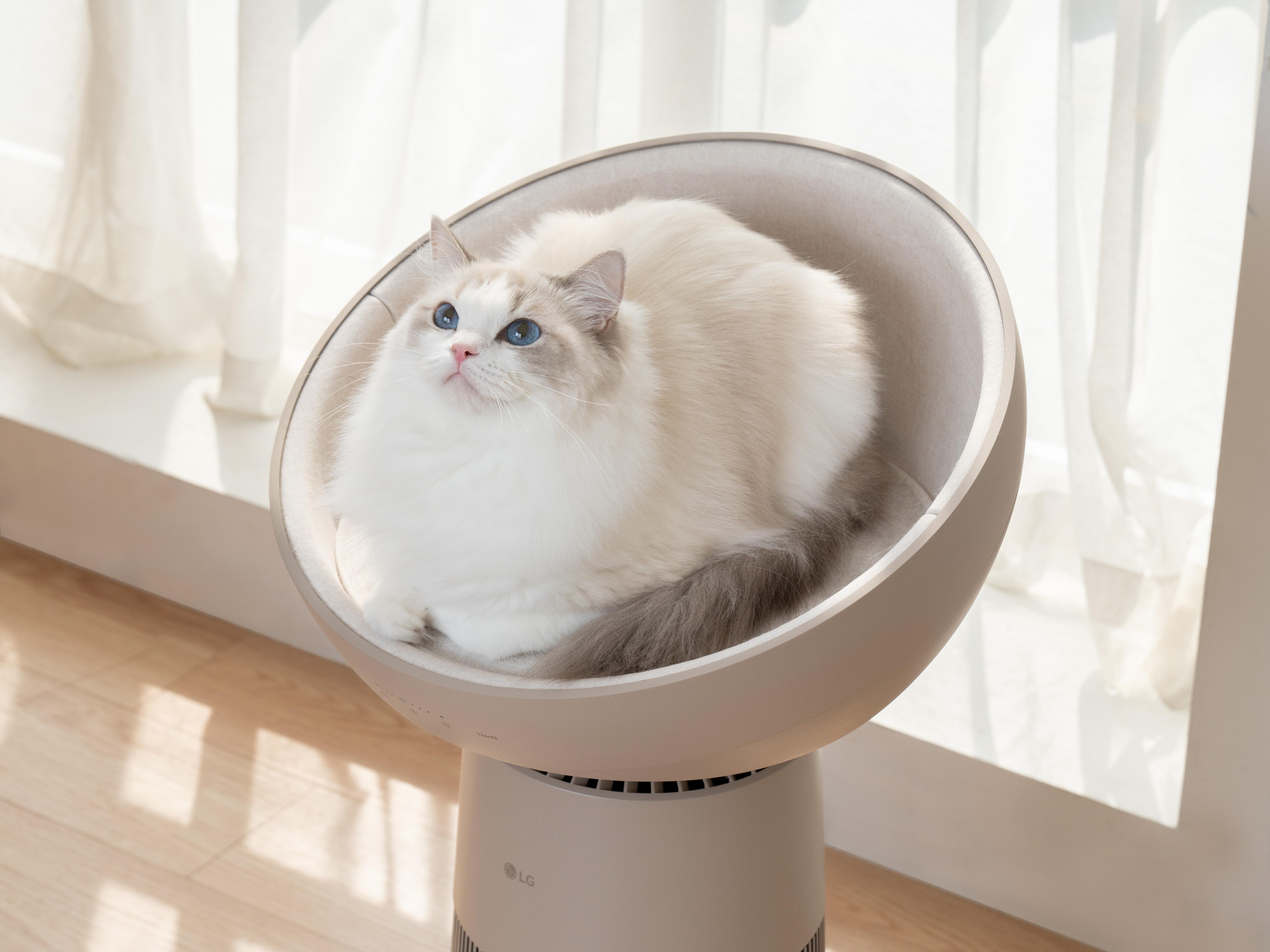 LG PuriCare AeroCatTower「貓王椅」有加熱設計。