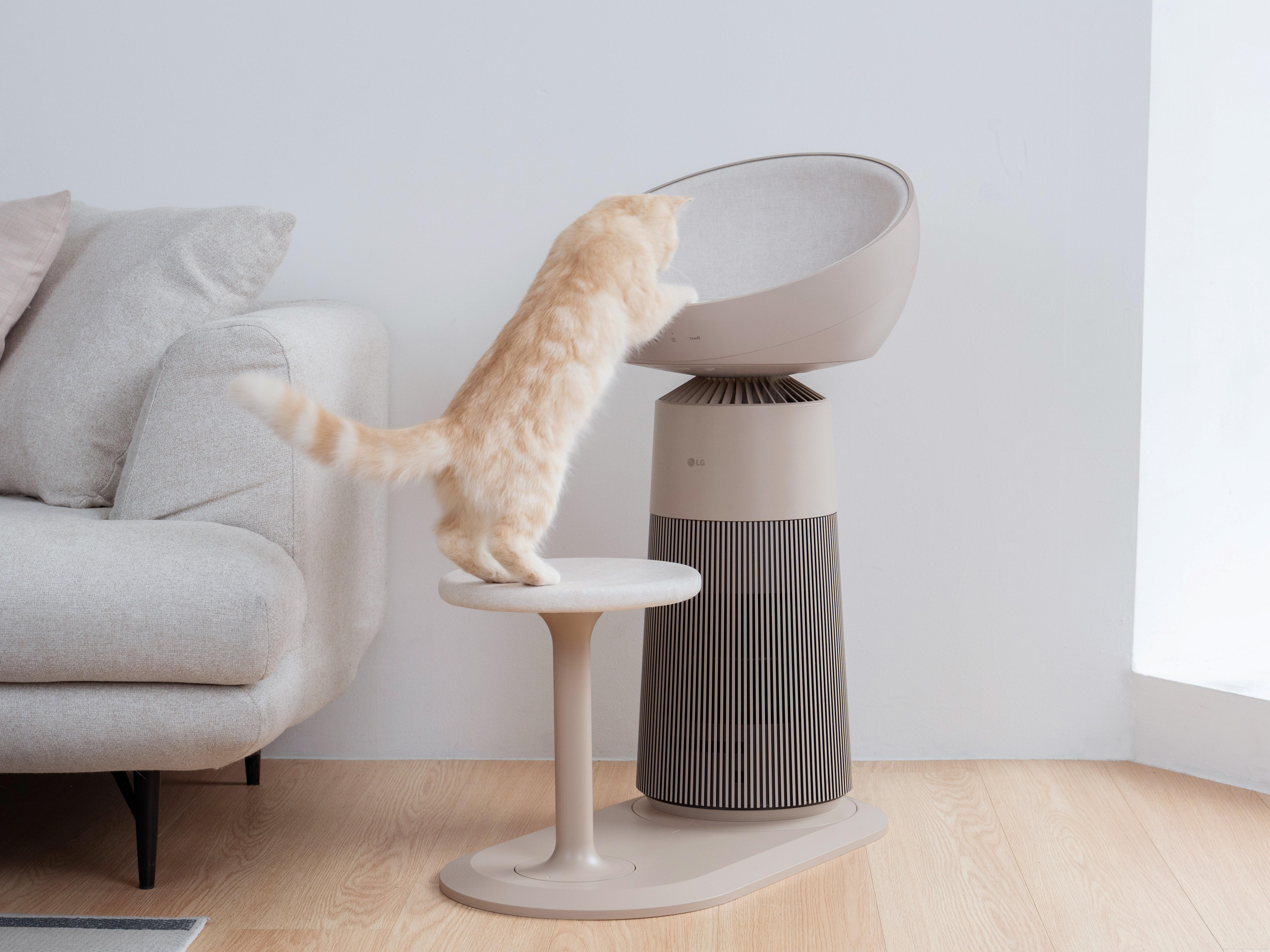 LG PuriCare AeroCatTower貓跳台可助貓兒跳上座位。