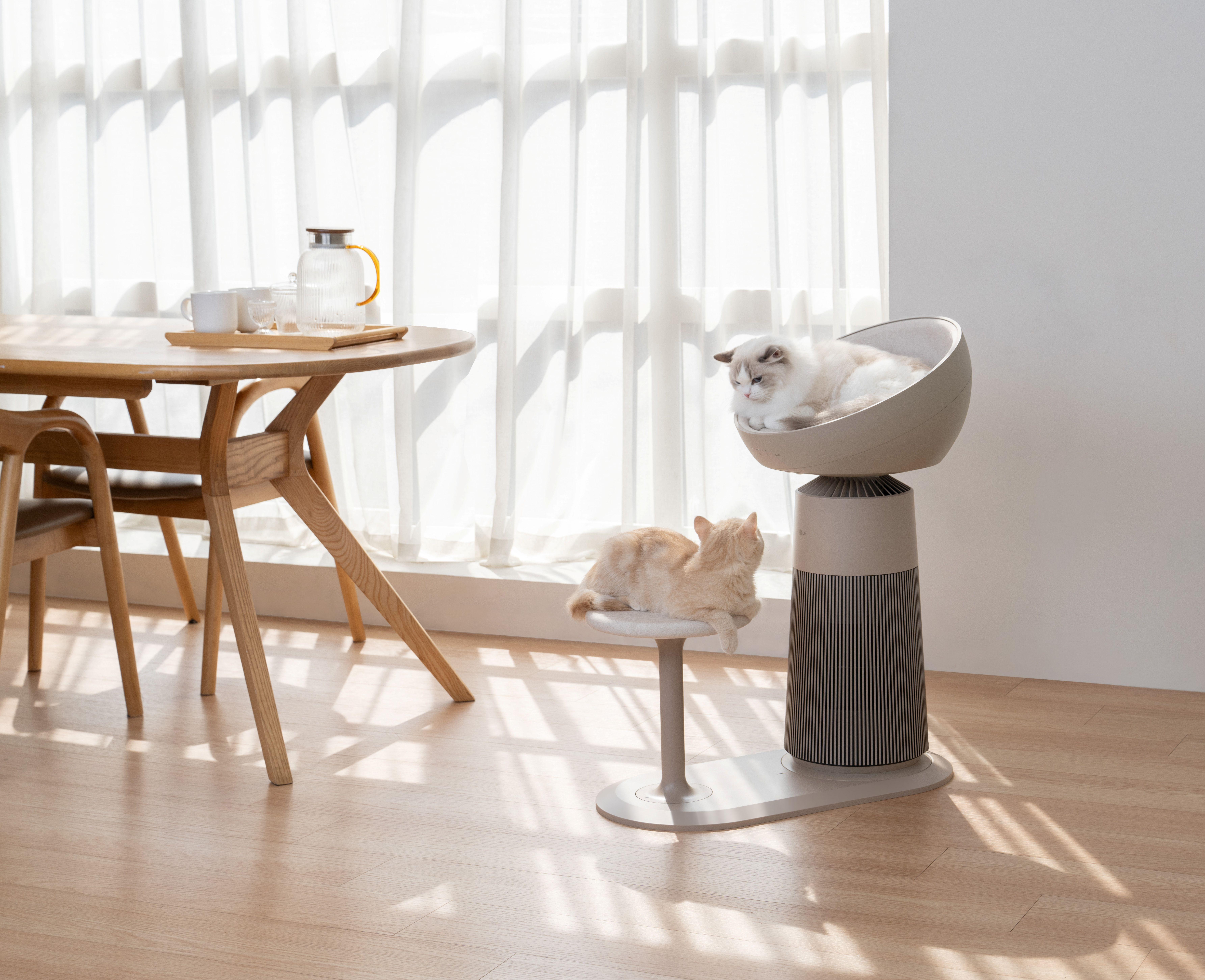 LG PuriCare AeroCatTower設有早鳥預售優惠。