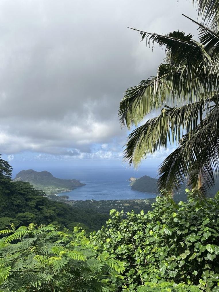 位於努庫希瓦島的泰奧哈埃灣。(互聯網)