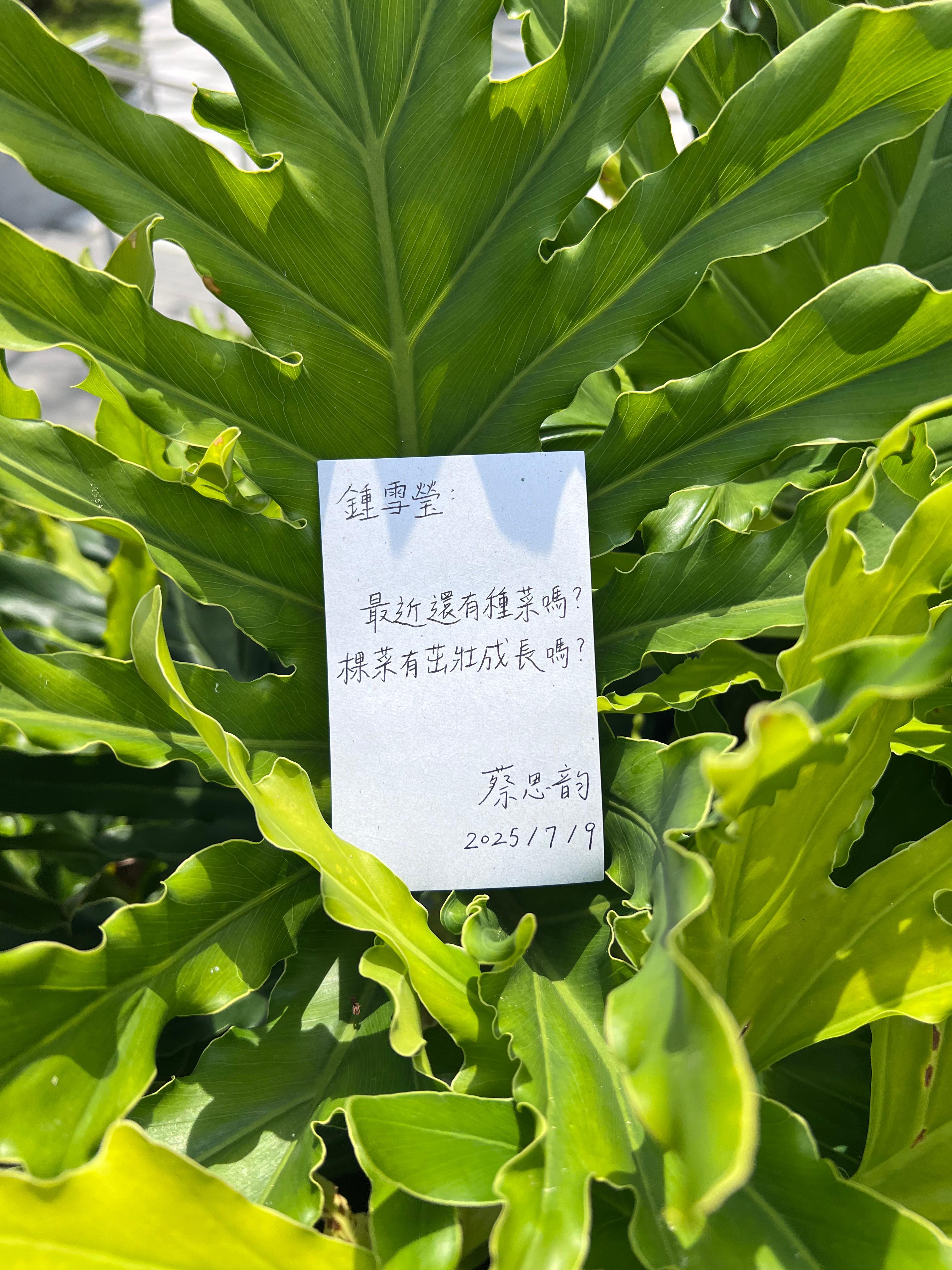 鍾雪瑩和蔡思韵以交換日記方式紀錄心情,成為真筆友。