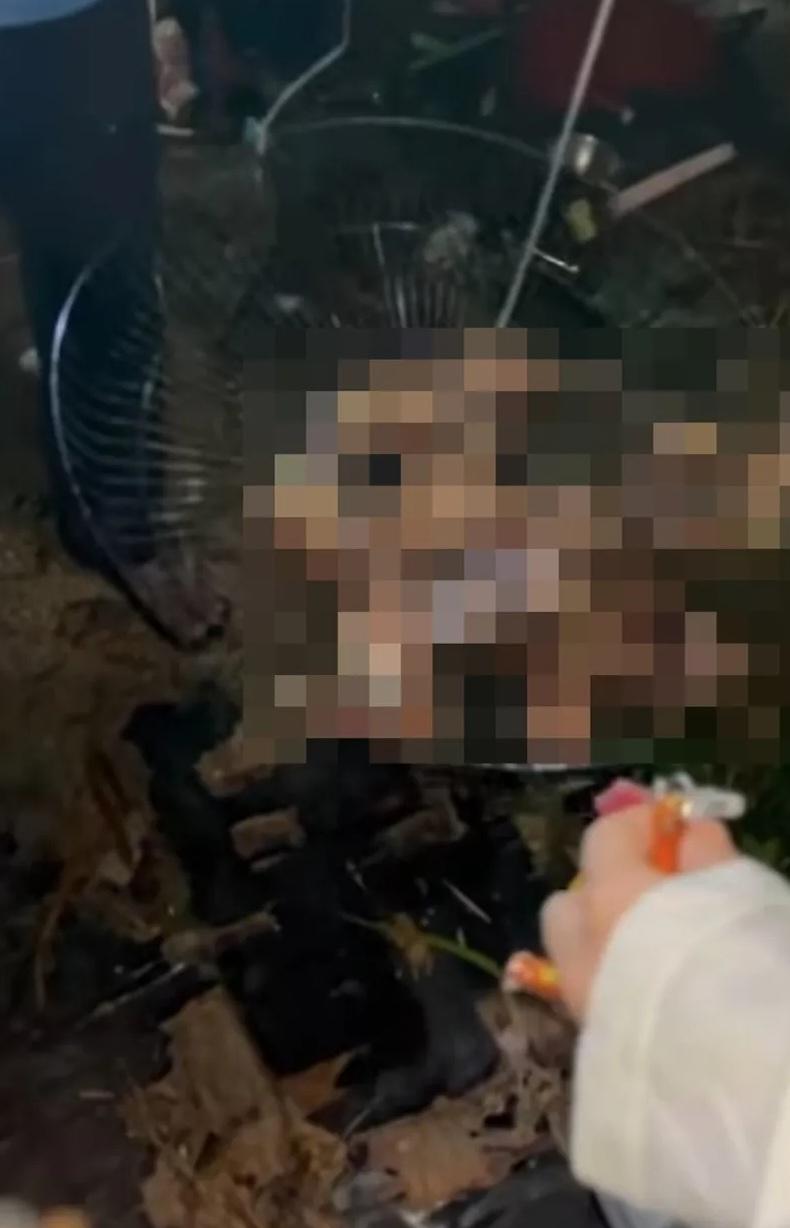 露宿者拎出烤架,說「這就是貓屍,剛烤好」。(互聯網)
