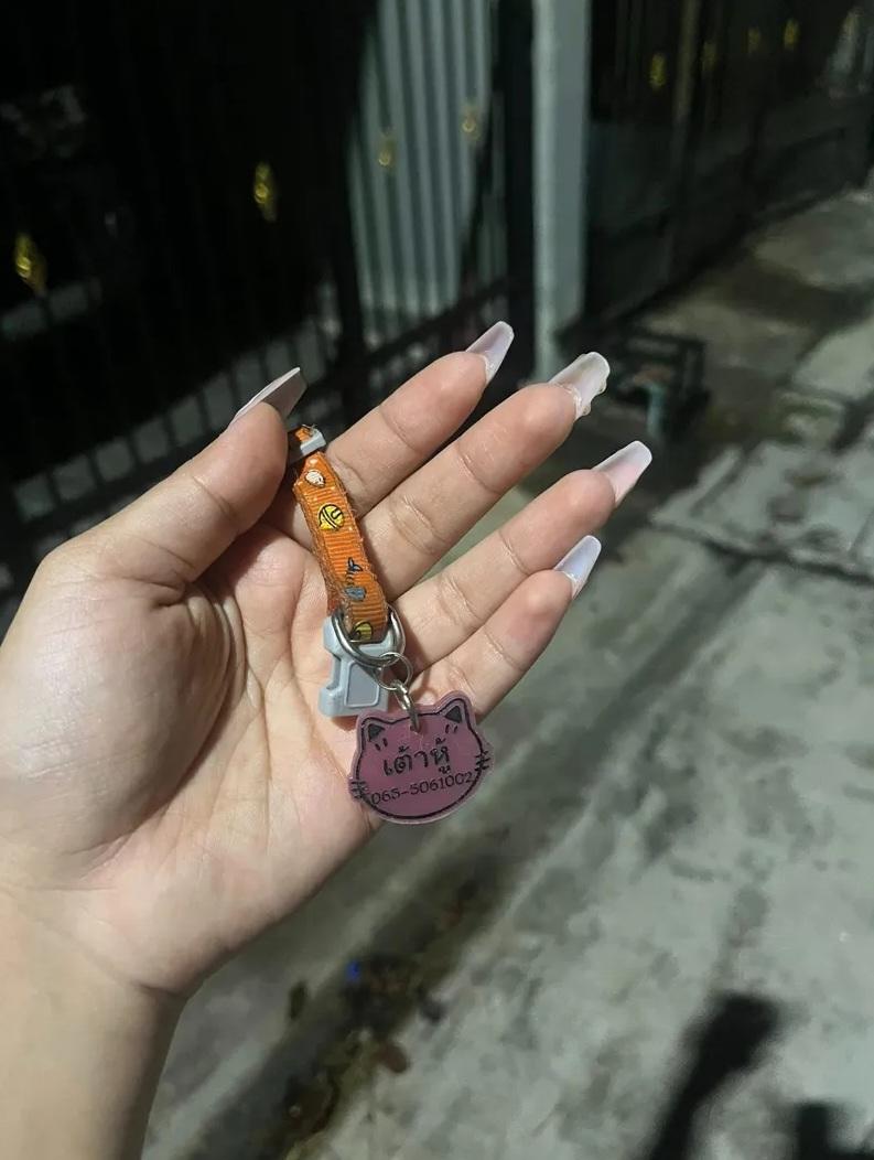 飼主Pae僅取回愛貓的頸圈。(互聯網)