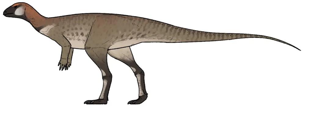 蒲牢龍(Pulaosaurus)。(互聯網)