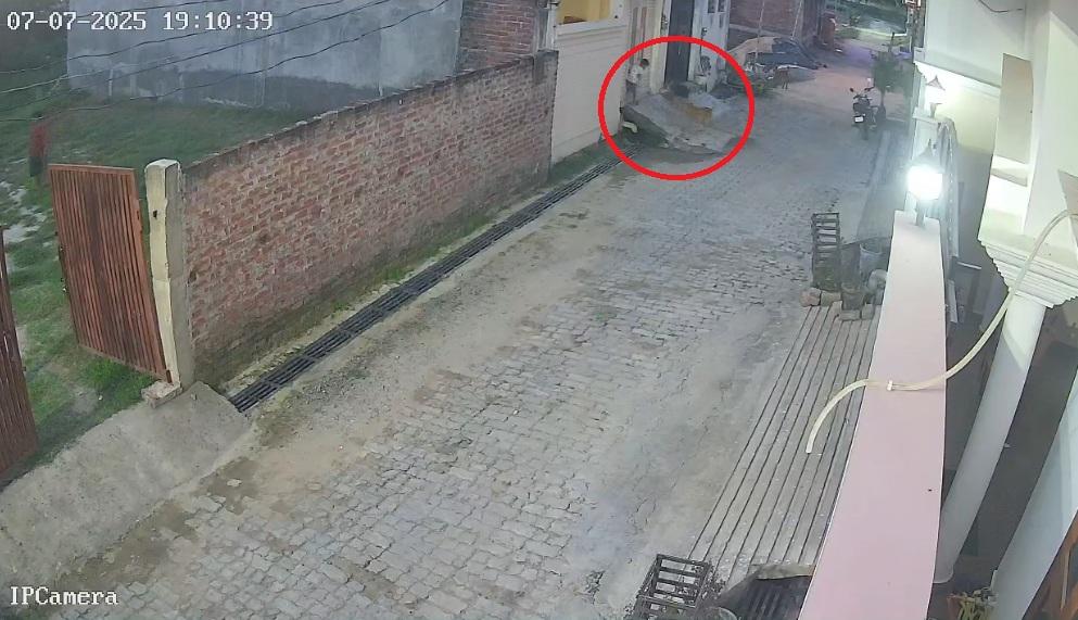 流浪狗群見到男童即衝上前。(互聯網)