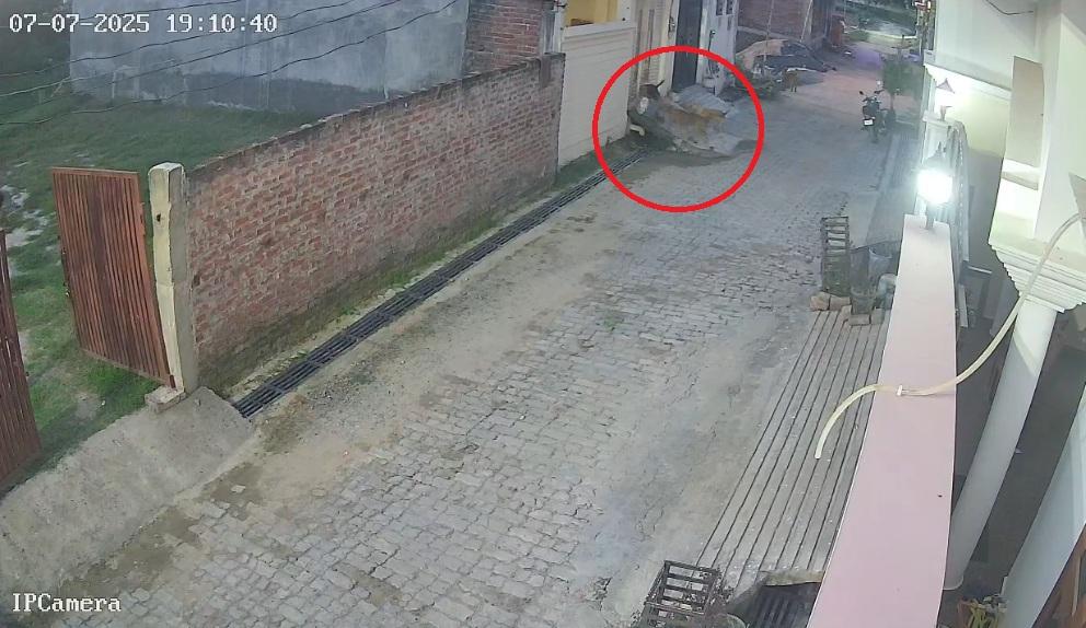 深色的流浪狗率先咬男童。(互聯網)