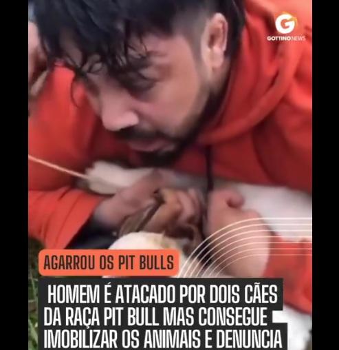 查韋斯用力壓制兩隻鬥牛㹴的畫面,令人驚訝。(互聯網)