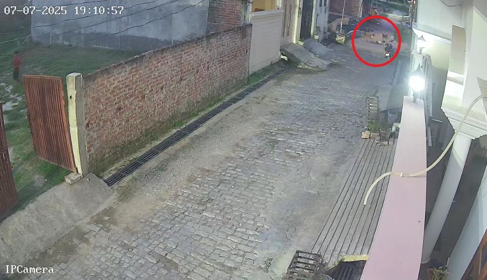 流浪狗群把男童拖行10多米,男童跌在地上。(互聯網)