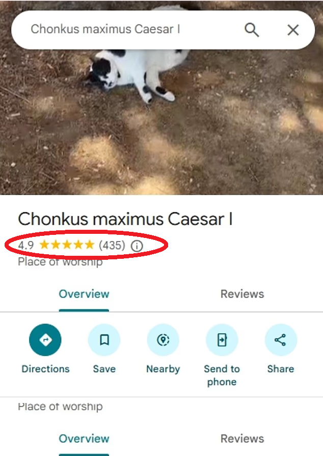 呢隻「肥嘢」竟是必到景點!在Google 地圖獲4.9分高分!(互聯網)