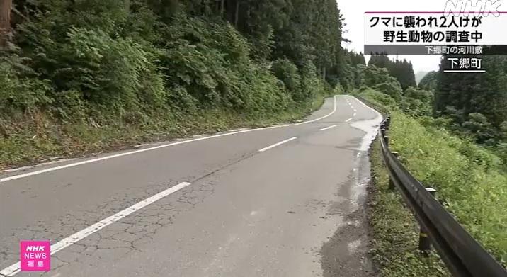 福島縣下鄉町阿賀川一帶,周一上午有兩名野外觀鳥的男子遭熊襲擊受傷,所幸無生命危險。(互聯網)