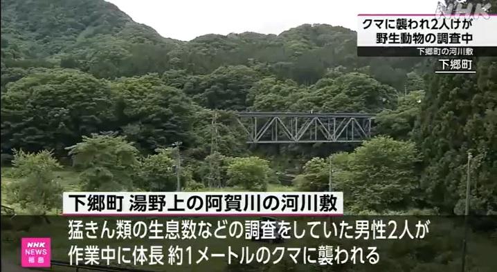 福島縣下鄉町阿賀川一帶,周一上午有兩名野外觀鳥的男子遭熊襲擊受傷,所幸無生命危險。(互聯網)