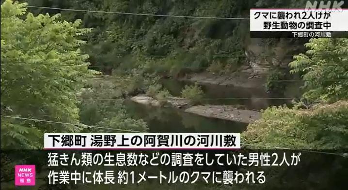 福島縣下鄉町阿賀川一帶,周一上午有兩名野外觀鳥的男子遭熊襲擊受傷,所幸無生命危險。(互聯網)