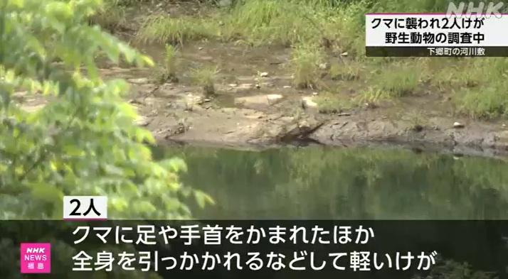 福島縣下鄉町阿賀川一帶,周一上午有兩名野外觀鳥的男子遭熊襲擊受傷,所幸無生命危險。(互聯網)