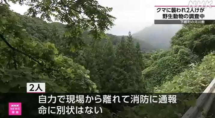 福島縣下鄉町阿賀川一帶,周一上午有兩名野外觀鳥的男子遭熊襲擊受傷,所幸無生命危險。(互聯網)