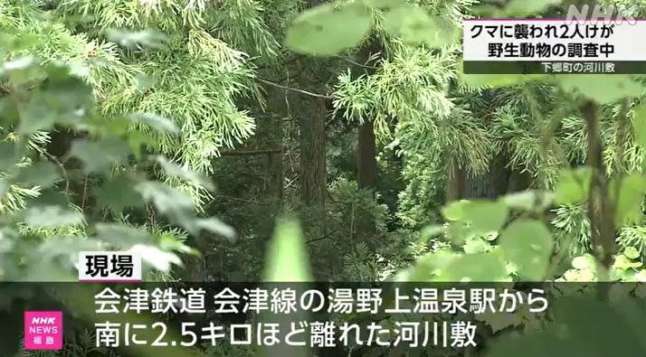 福島縣下鄉町阿賀川一帶,周一上午有兩名野外觀鳥的男子遭熊襲擊受傷,所幸無生命危險。(互聯網)
