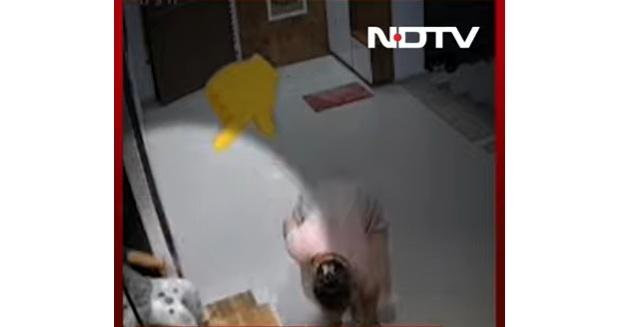 母親沒注意,女童失平衡向後跌。(互聯網)