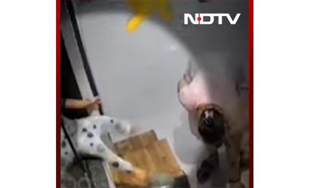 母親沒注意,女童失平衡向後跌,掉出窗外。(互聯網)