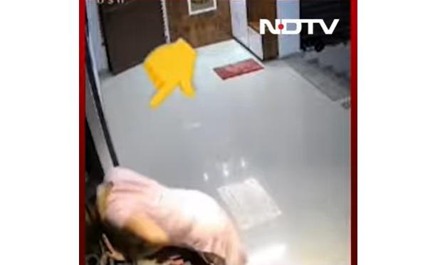 母親俯身查看女兒。(互聯網)