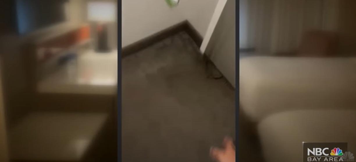 門外的人控制環狀長鐵線,試圖勾住門把。(互聯網)