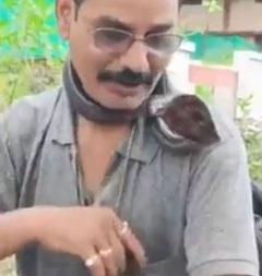 馬哈瓦爾把眼鏡蛇掛在頸上,並沒意識到危險性。(互聯網)