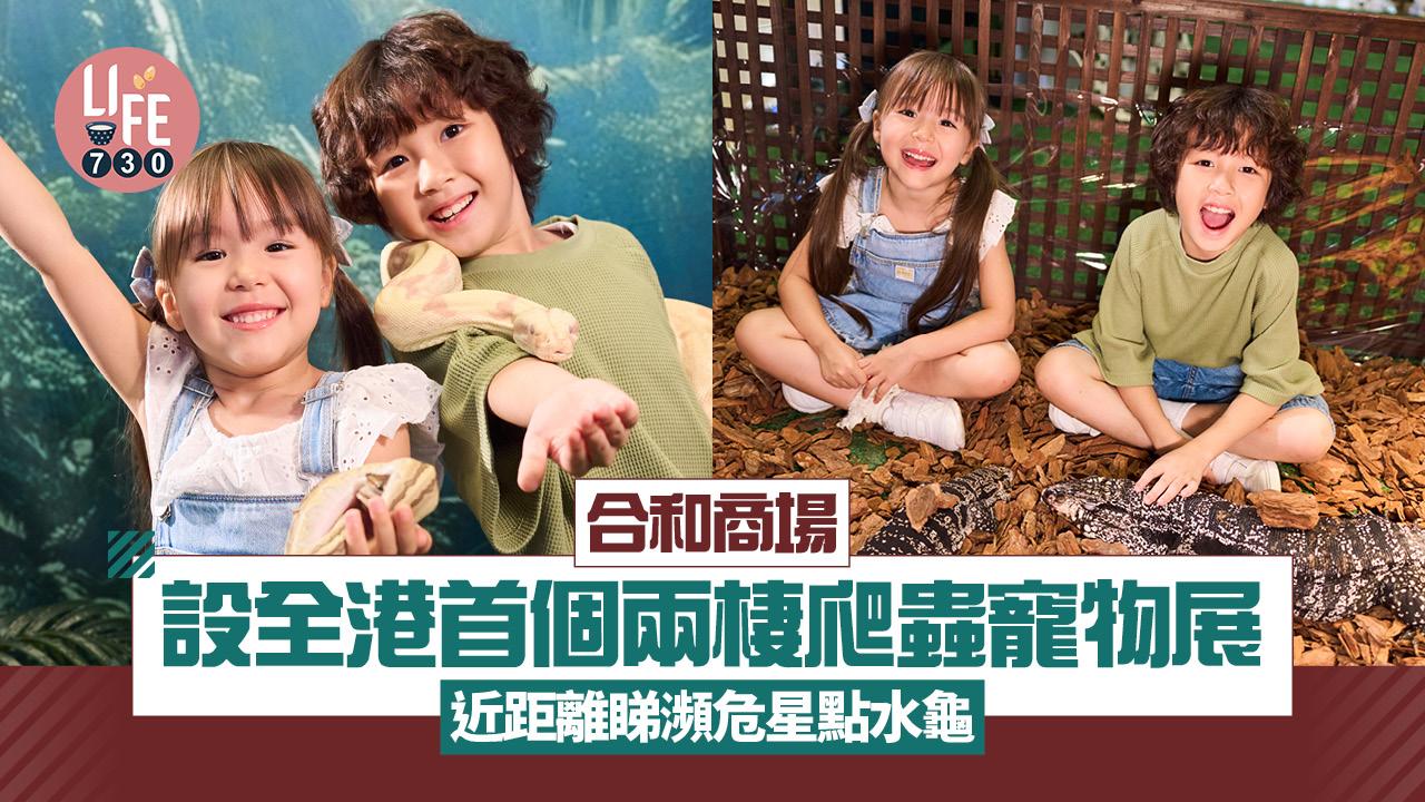 暑假好去處|合和商場設全港首個兩棲爬蟲寵物展 近距離睇瀕危星點水龜 親手整動物標本