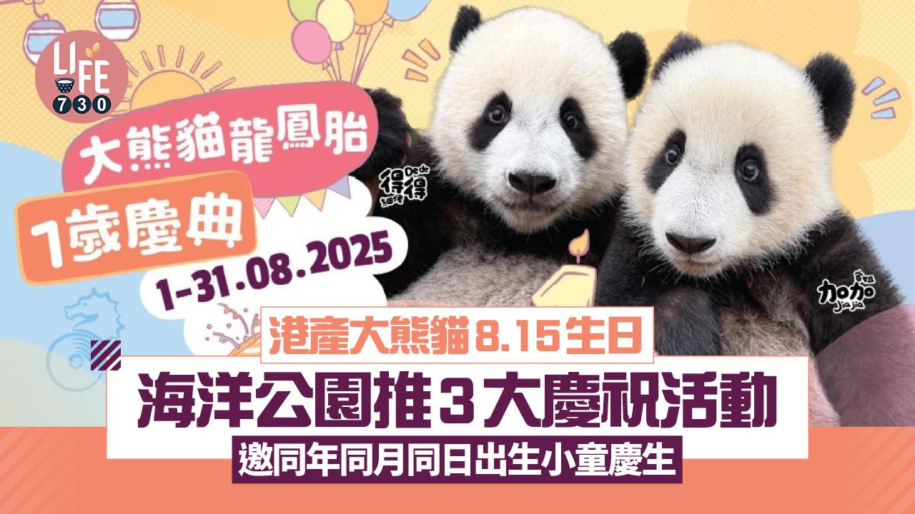 港產大熊貓8.15生日! 海洋公園推3大慶祝活動 邀同年同月同日出生小童慶生