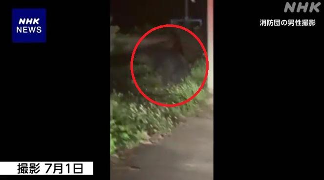 岩手縣北上市有消防員本月1日拍到熊蹤,熊在住宅旁邊出現。(互聯網)