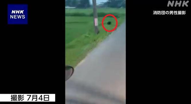 岩手縣北上市有消防員本月4日拍到熊在路邊跑過。(互聯網)