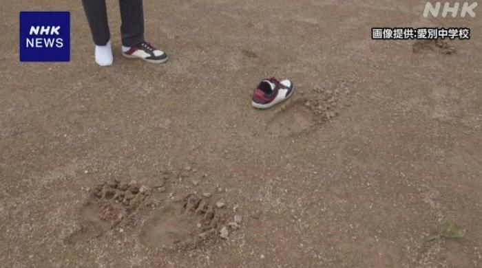 6月時,北海道一間學校附近發現熊腳印。(互聯網)