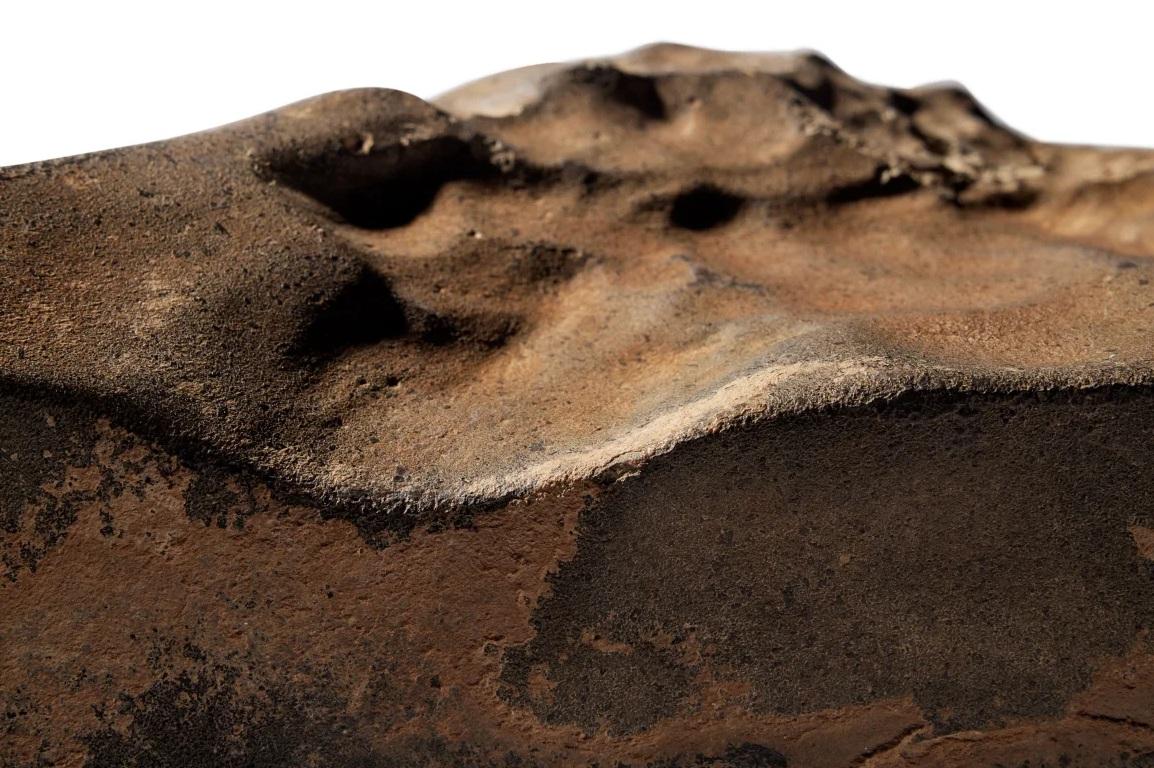 蘇富比官網介紹這次拍賣的迄今全球發現最大火星隕石。(互聯網)