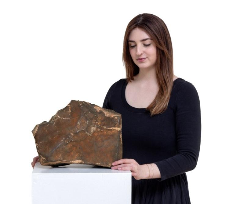 蘇富比官網介紹這次拍賣的迄今全球發現最大火星隕石。(互聯網)