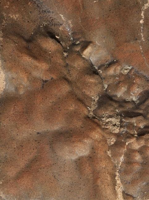 蘇富比官網介紹這次拍賣的迄今全球發現最大火星隕石。(互聯網)