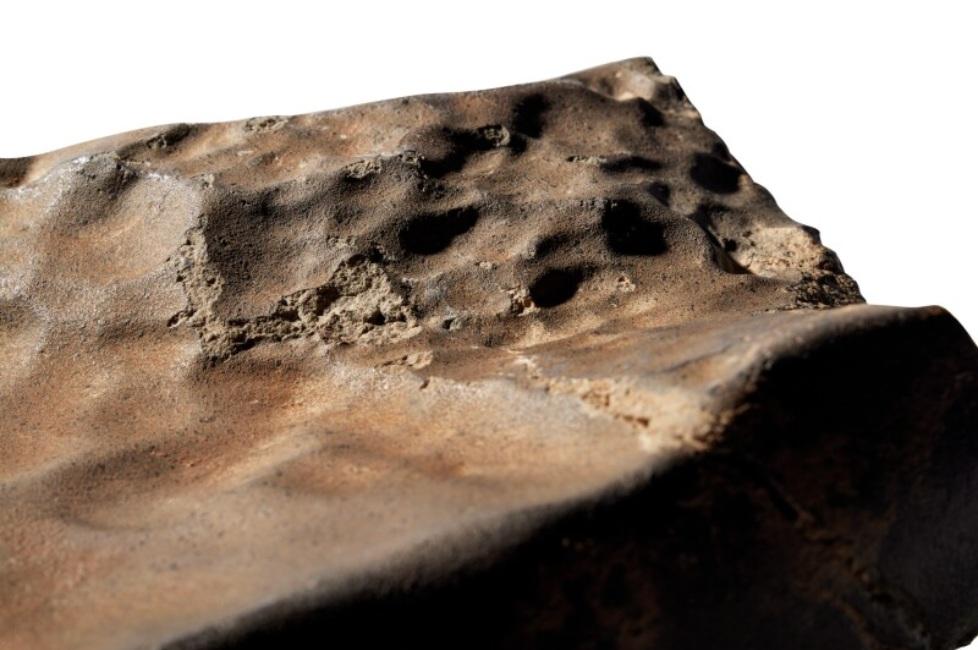 蘇富比官網介紹這次拍賣的迄今全球發現最大火星隕石。(互聯網)