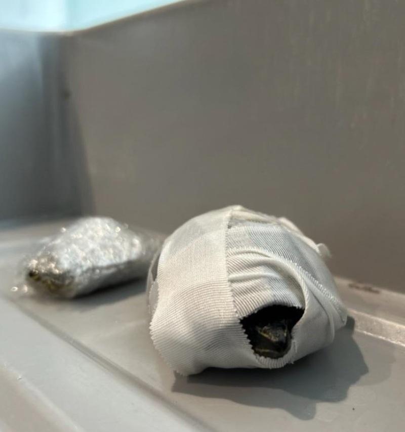 女子用繃帶和保鮮紙把兩隻龜包裹,將牠們藏在內衣裡,試圖闖關。(互聯網)