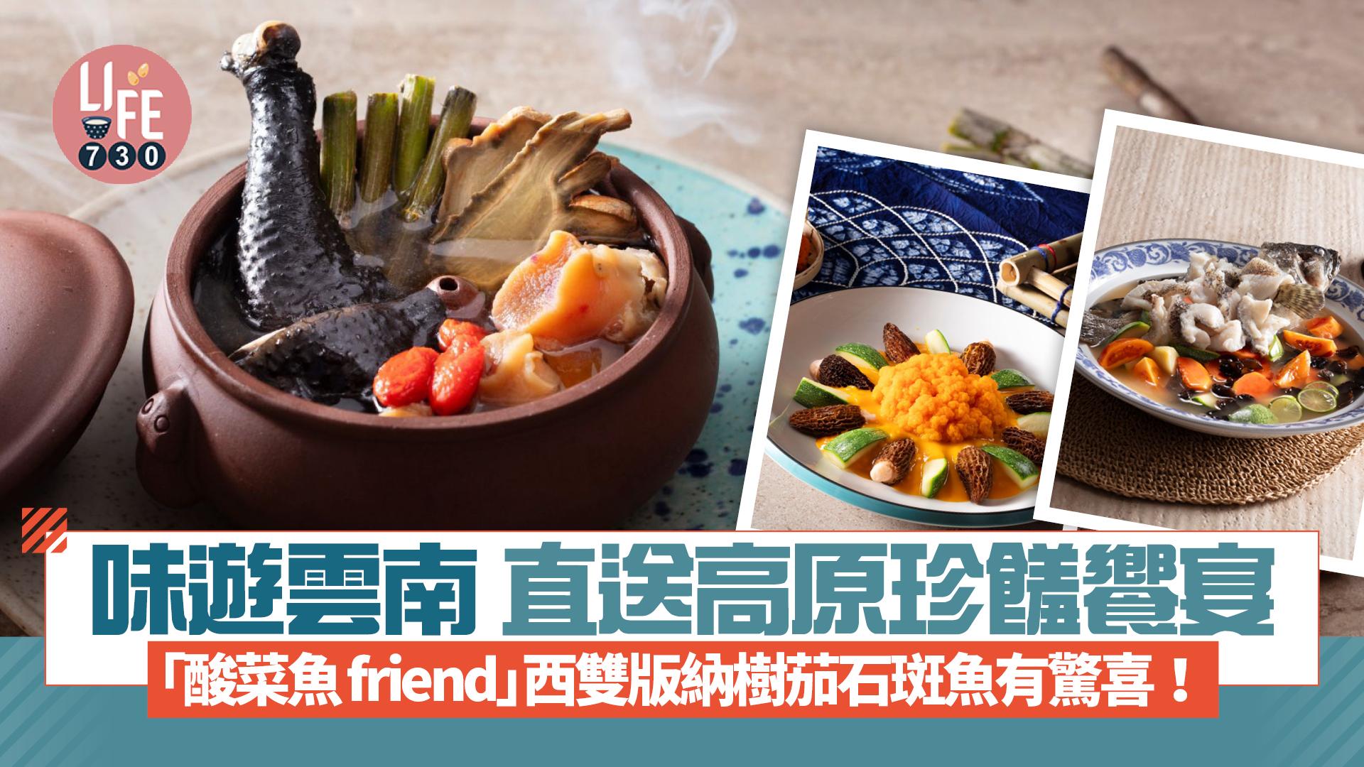 美心中菜味遊雲南直送高原珍饈饗宴 「酸菜魚friend」西雙版納樹茄石斑魚有驚喜!