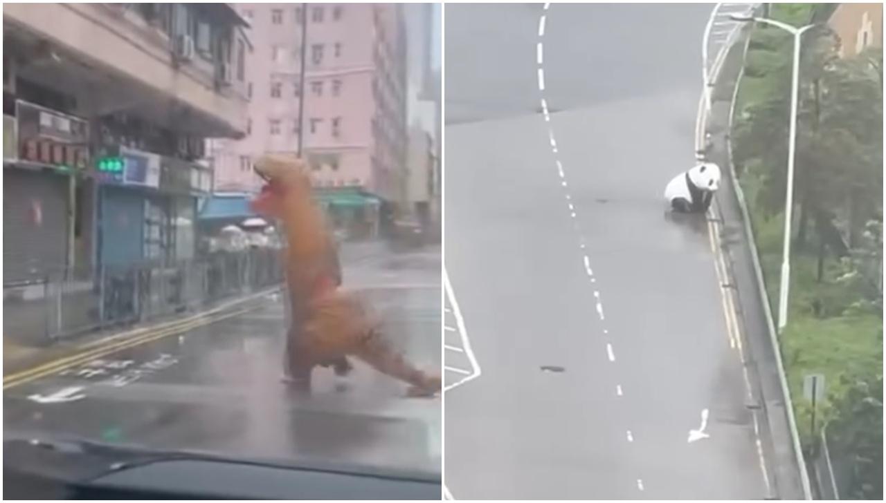 颱風韋帕|十號風球動物逃脫? 元朗有恐龍下雨狂奔 將軍澳「熊貓」將軍澳追風|網上熱話 (@Threads網上影片截圖)