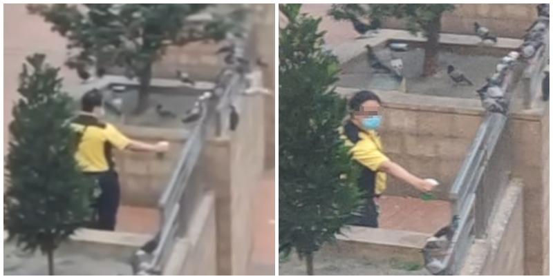 一名身穿港鐵制服的男子於坑口站B出口外,向聚集的雀鳥多次噴灑不明液體,疑在驅趕鳥群。(香港救援鳩鴿及雀鳥fb影片截圖)