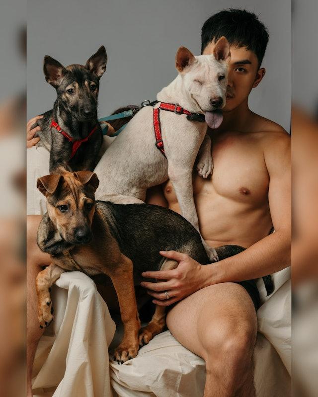 擁有一身結實的肌肉的伍富橋為了呼籲各界關注流浪動物,他疑似全裸上陣與狗狗拍攝一系列的宣傳照