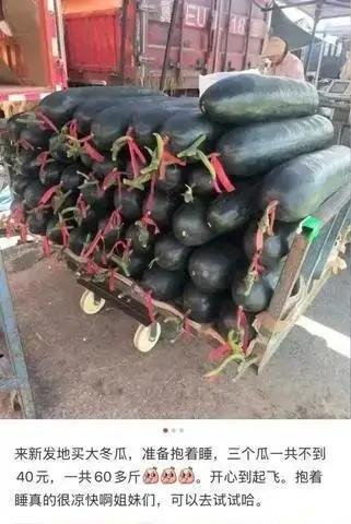 有網民分享買大冬瓜準備抱著睡。(互聯網)