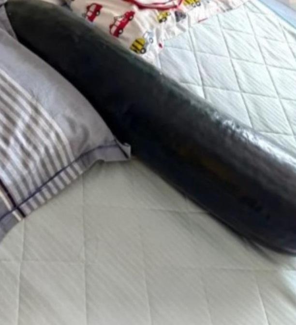 冬瓜放在床上,是用來消暑。(互聯網)