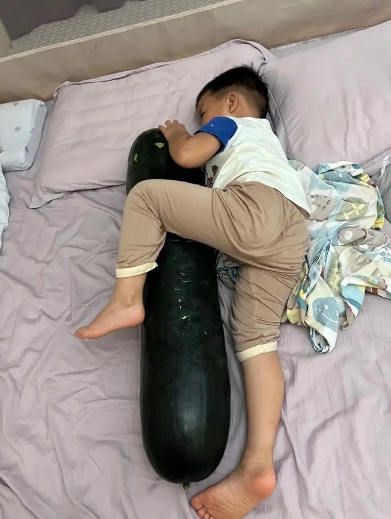 小孩子抱著冬瓜,看來睡得香甜。(互聯網)