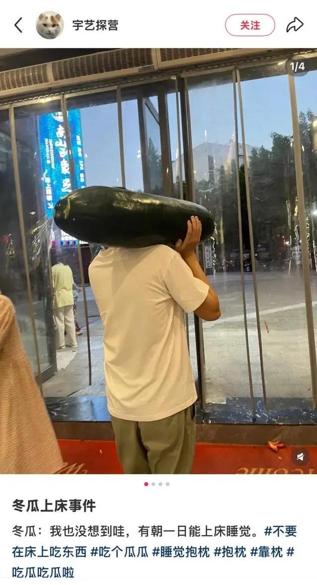 網民分享買冬瓜回家消暑,笑言「冬瓜沒想到有朝一日能上床睡覺」。(互聯網)