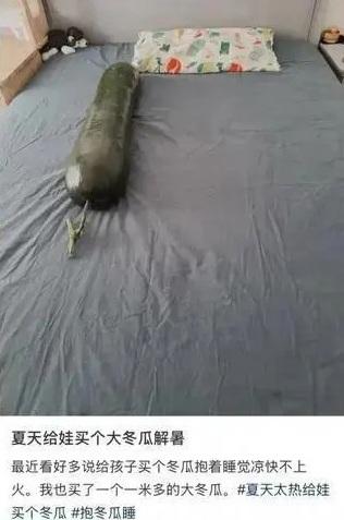 網民稱買了大冬瓜,準備給孩子抱著消暑。(互聯網)