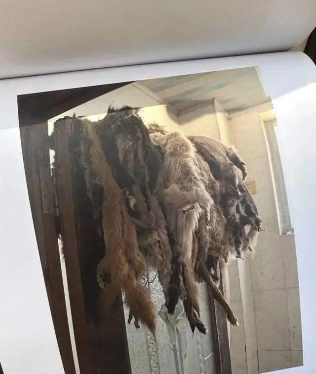 照片顯示,屋內髒亂不堪,陽台掛滿來路不明的狗皮。(圖/翻攝大象新聞)