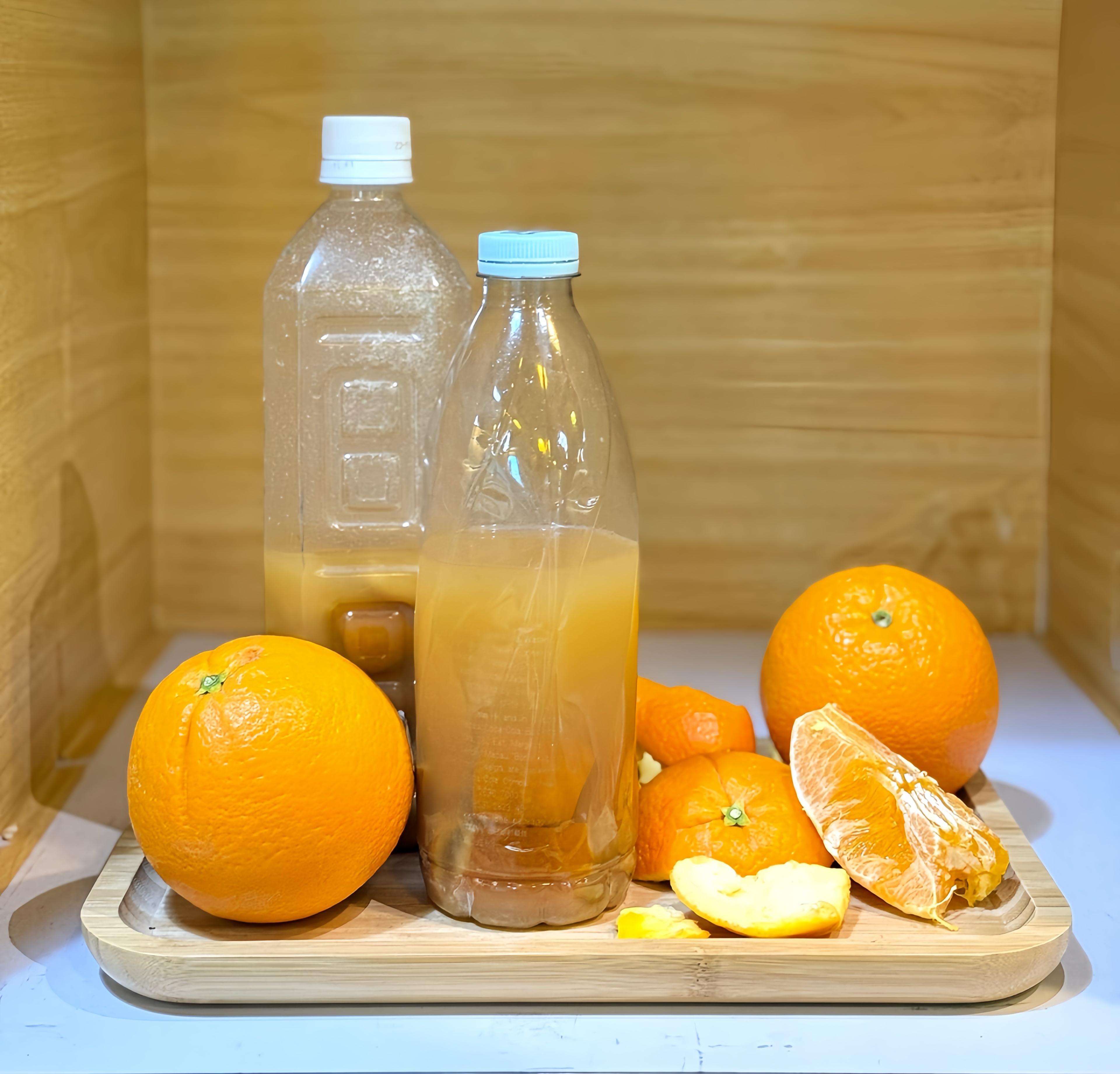 廚餘回收和環保酵素工作坊