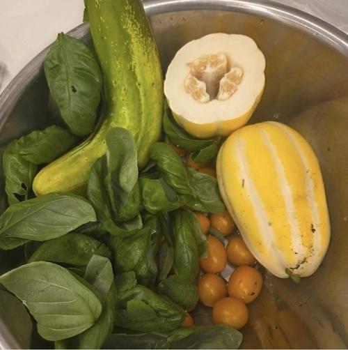 李英愛所採摘的新鮮蔬果,夠一家人品嘗。